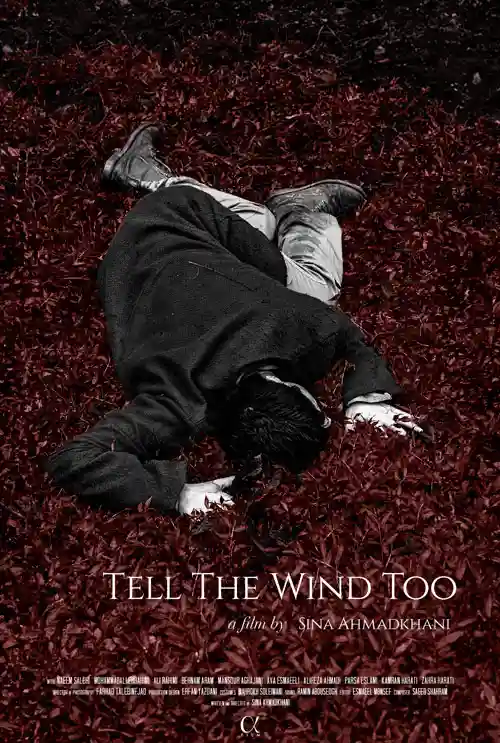 Distribution of the feature film "Tell the wind too"
