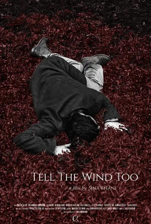 Feature short films distribution: "Tell the wind too"