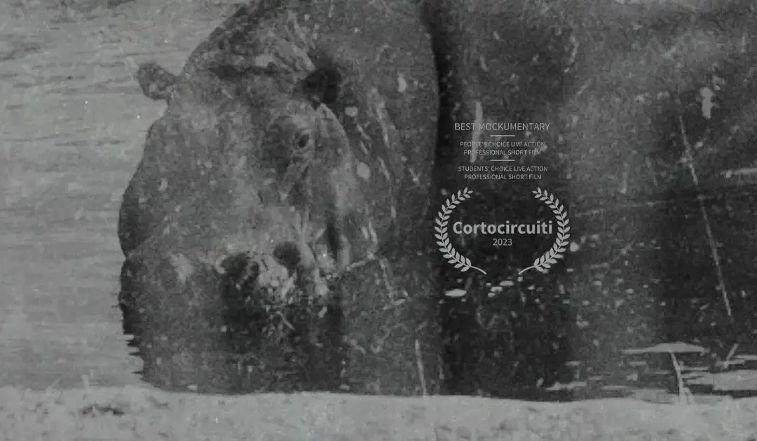 Il cortometraggio “La nona portata” vince al Cortocircuiti Short Film Festival