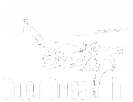 Green Grass Film, produzione del corto "Absolutio"